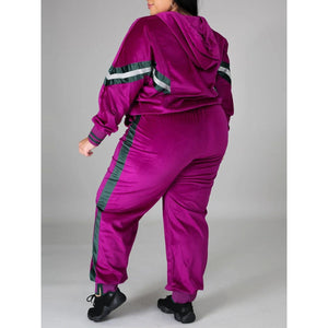 New Women Plus Size Velvet Two Piece Rose Tracksuit
