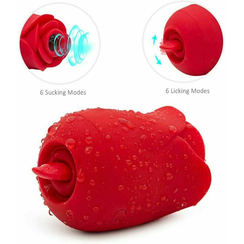 The Red Rose Tulip 2 In 1