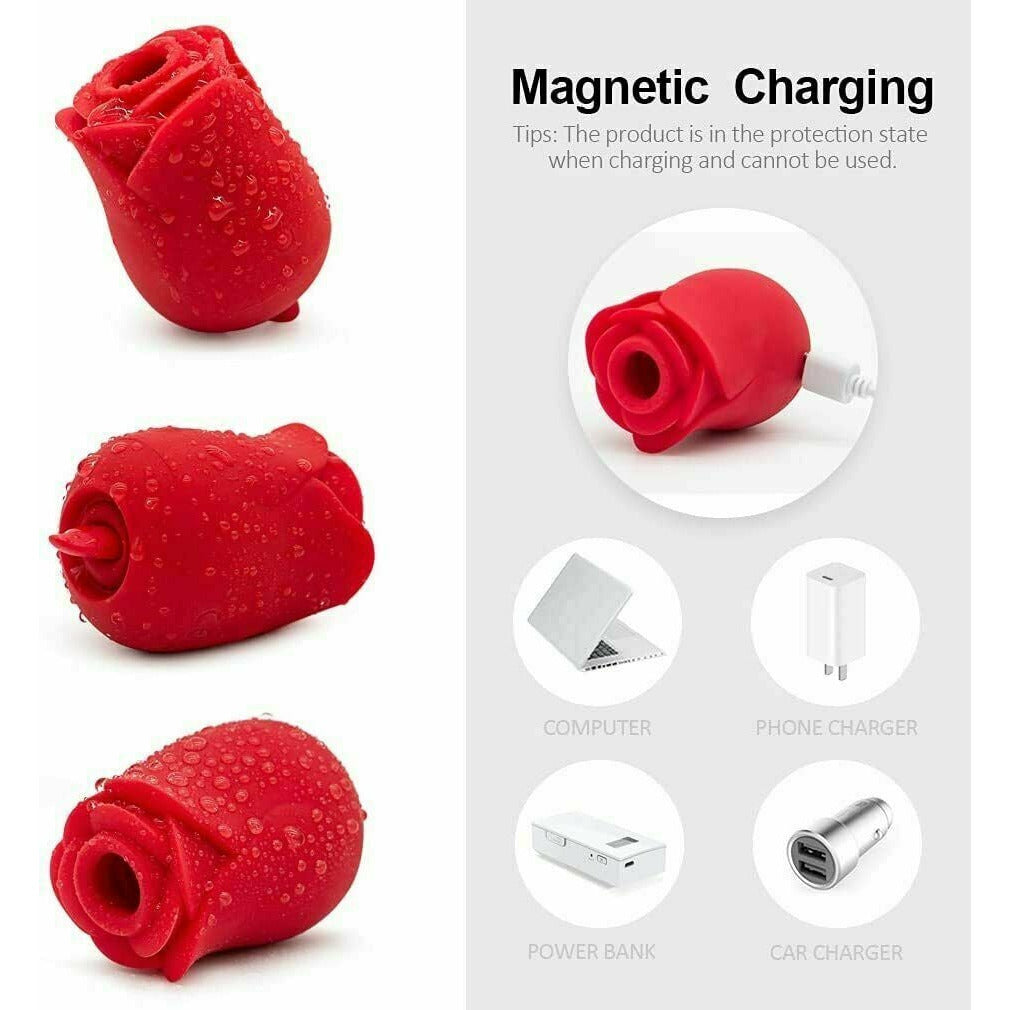 The Red Rose Tulip 2 In 1